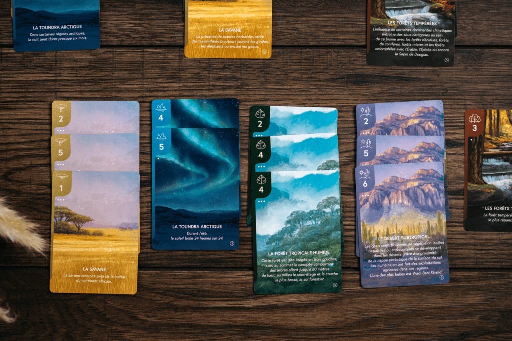 Écosphère - Image 7