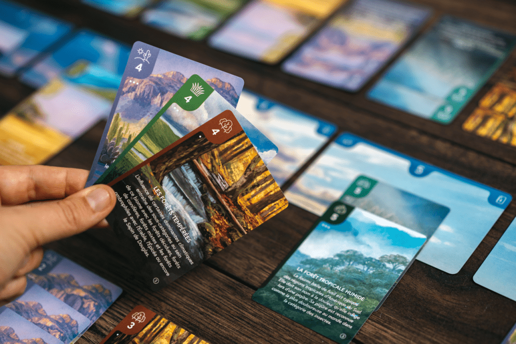 Écosphère - Image 5