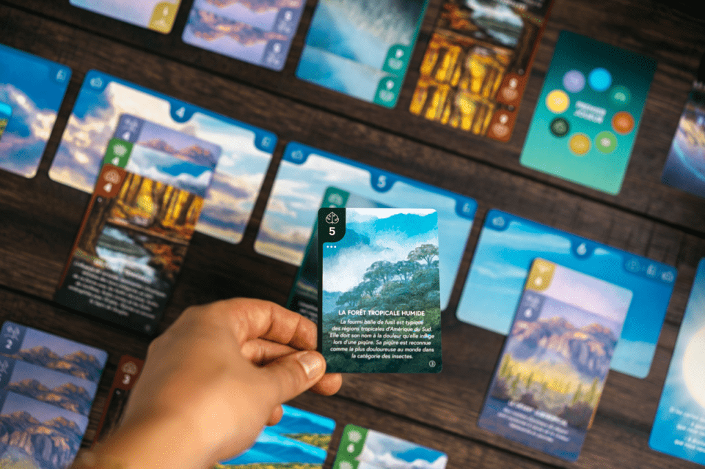 Écosphère - Image 4